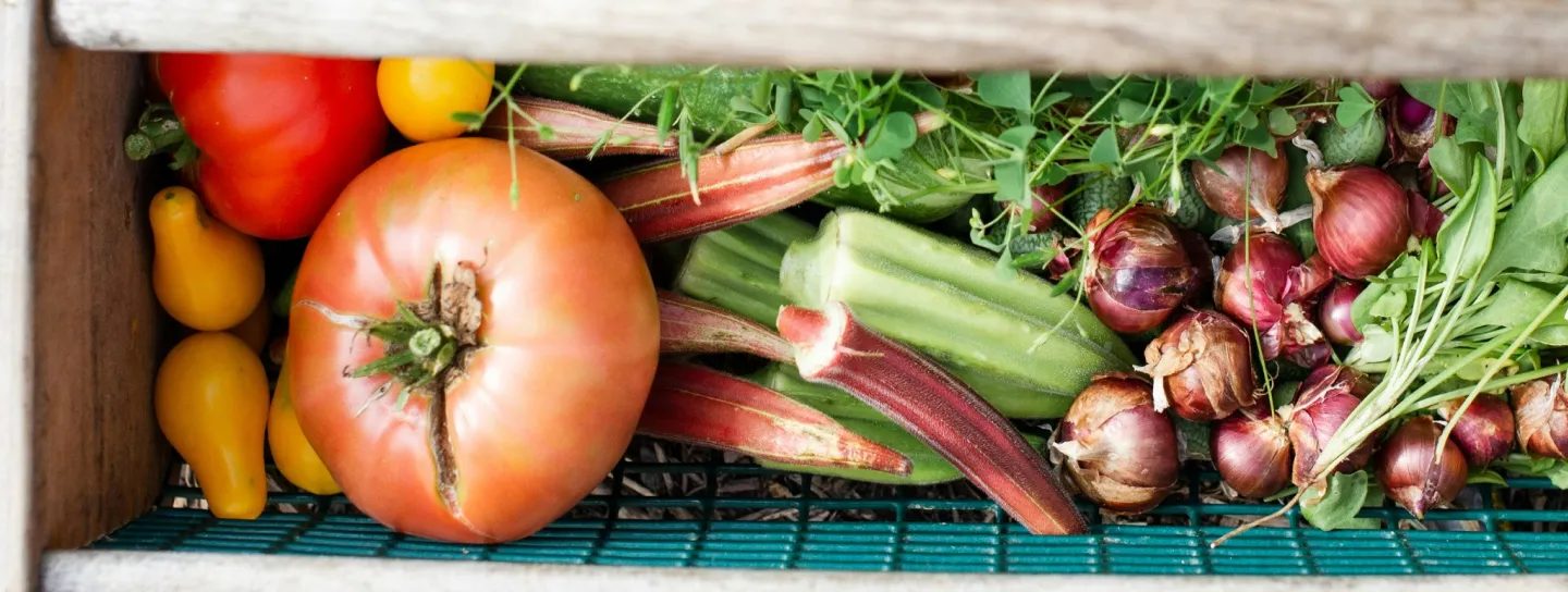 Fresh produce packed in a crate